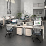 MS/White Bench 4 Personas
